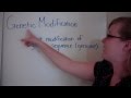 Genetic Modification and Selective Breeding