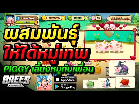PIGGY-เลี้ยงหมูกับเพื่อน-🐷-สอน ครั้งแรกในชีวิต!😱 กินกุ้งยักษ์ย่าง🔥 น้ำจิ้มซีฟู๊ดรสเด็ด🦞 แซ่บๆ🦐 กลางทุ่งนา🌾