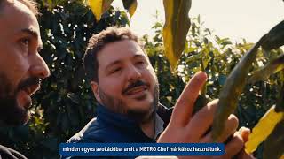 METRO Chef Avokádó - Az időn spórolj, ne a minőségen