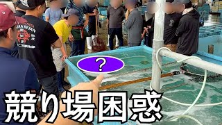 【なんでこの魚が？】とんでもない魚が競り場にいたので落札して食べてみた