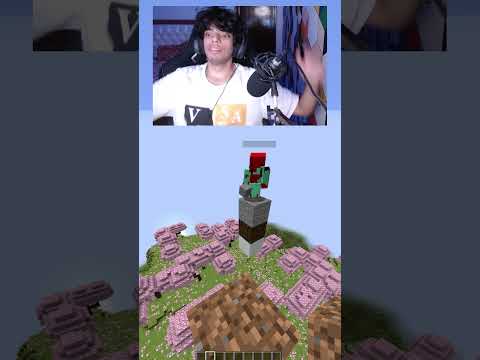 Minecraft Telepathy🤔 #minecraft