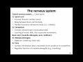 Brain Structure and Function Assessment