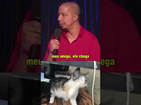 PRA ONDE O GATO VAI QUANDO SOME? #humor #gatos #standupcomedy