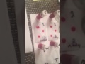 Blood Typing Experiment Procedures