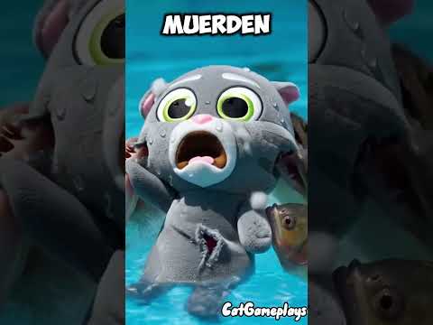 EL GATO GINGER ECHO PIRAÑAS EN LA PISCIAN DEL GATO TOM