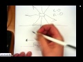 Momentum Conservation in Collisions