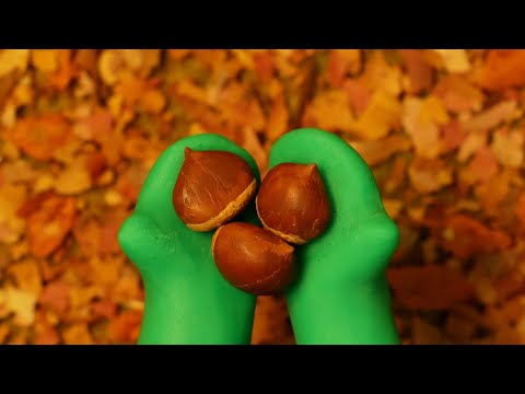 군밤~~🎶😋😍/ASMR/Clay Animation