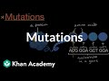 Exploring Genetic Mutations and Their Impact on Traits