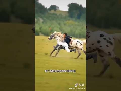 哈斯玉龍騎馬術