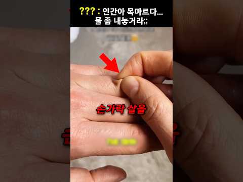 ??? : 인간아 목마르다… 물 좀 내놓거라;;