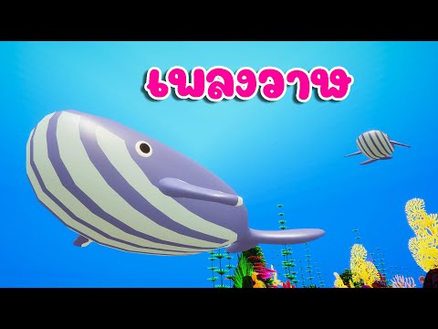 เพลง วาฬ เพลงเด็กคิดส์มีซอง 2568 | KidsMeSong