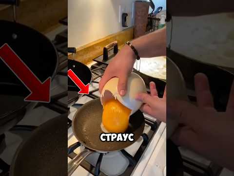 Яйца страуса могут заменить куриные 🥚 #шортс #факты