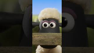 Making a Hay Bale! 🐑🐑🐑 #shaunthesheep #shorts