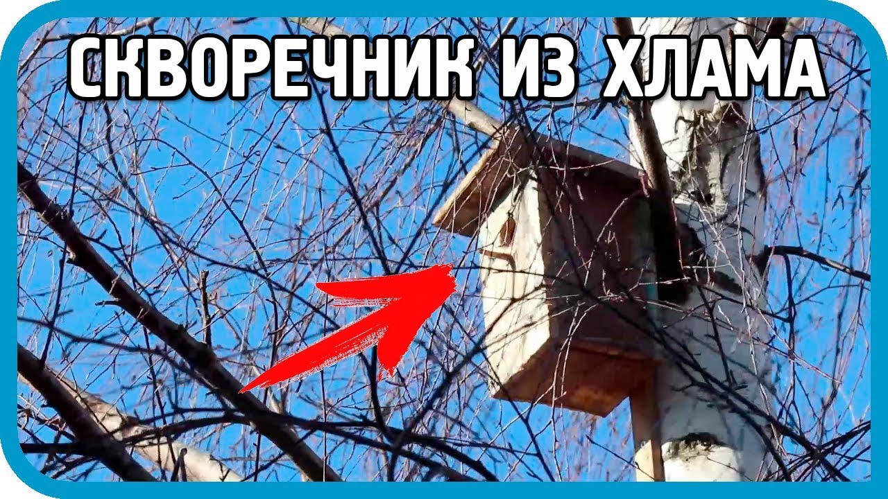 Скворечник из хлама за 5 минут Будет ли результат?