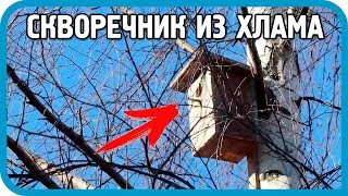 видео