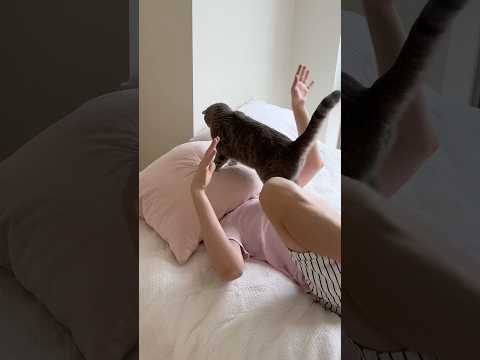 Wow 😮 don’t play with my cat Minnie 😱