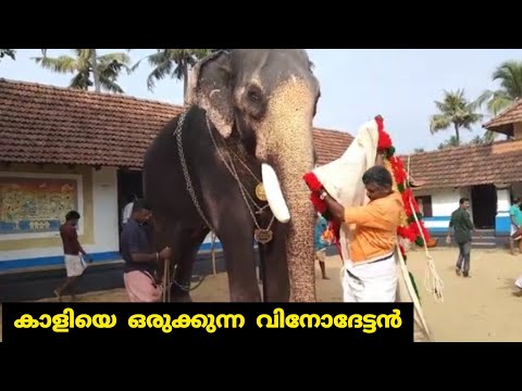 Chirakkal Kalidasan | കാളിയെ ഒരുക്കുന്ന വിനോദേട്ടൻ