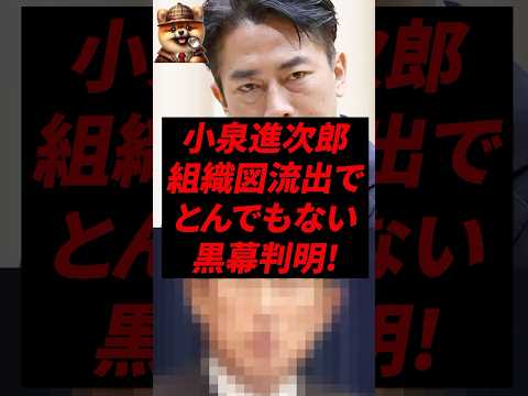 ㊗️140万再生！小泉進次郎、組織図流出でとんでもない黒幕判明!