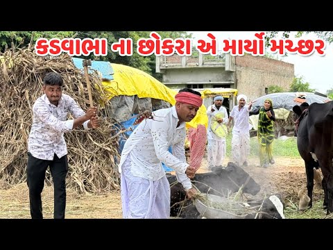 કડવાભા ના છોકરા એ માર્યો મચ્છર // કોમેડી વિડિયો // Gujarati Comedy Video // Funny Desi Boys