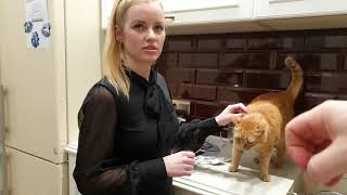 видео