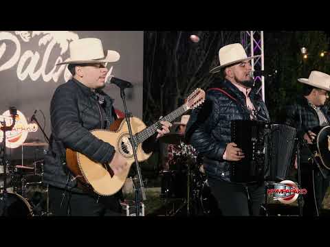 Los De La Palma Ft. Los Belicos De Culiacan- El Fredy [En Vivo] 2025