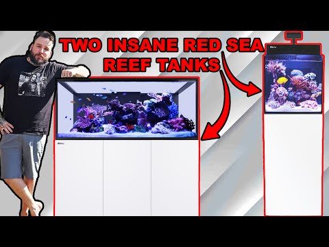 We Took Delivery of TWO INSANE Red Sea Reef Tanks!!!