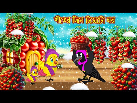 শীতের দিনে টমেটো ঘর | Siter Dine Tometo Ghor | Bangla Cartoon | Thakurmar Jhuli | Pakhir Golpo