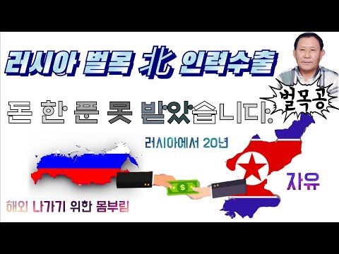 (24/11월7일)러시아 인력수출👉 북한 벌목공 탈출기(풀버전)