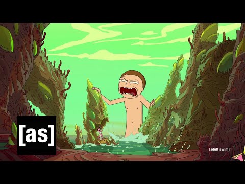 Rick and Morty Theme Song - Version 4
