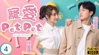 TVB時裝喜劇 | 寵愛Pet Pet 04/20 | 林夏薇(惠婷)被摑影響診所生意 | 林夏薇 | 周嘉洛 | 姜大衞 | 黃子恆 | 粵語中字 | 2023 | My Pet My Angel