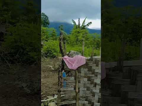 ko jadi gatel #gemoy #gadisriau #bodorsundaterbaru