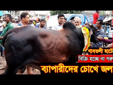 গাবতলী হাটে গরুর দাম কম তবুও ক্রেতা নেই ব্যাপারীদের চোখে জল । শেষ দিনে কেমন দামে গরু বিক্রি হচ্ছে