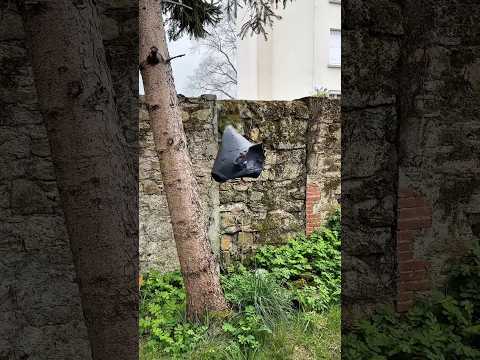Mon voisin arrête pas de jeter les ordures dans mon jardin