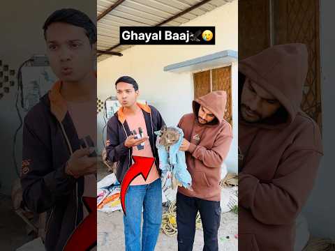 Aaj Hume Ek Ghayal Baaj Mila🥹 #rescue #yuvikevlogs #baaj #eagles #viral #pets #dog