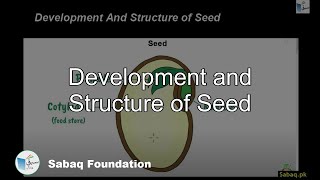 Development and Structure of Seed