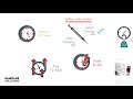 Insulin Types and Their Characteristics