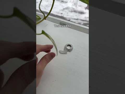 How to make your luminous keychain spinner glow🥶 #ninjaspinner #keychainspinner #keychain