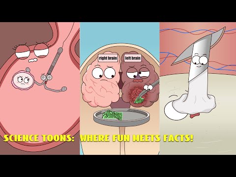 A collection of easy-to-understand animated science videos#animation #funny #video