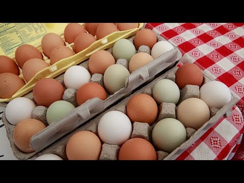 YouTube video thumbnail: China Exports 35,000 Hatching Eggs to Tanzania, Boosting Poultry Industry