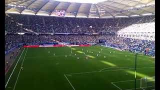 Hamburger SV - VfL Wolfsburg (1:1)(2)