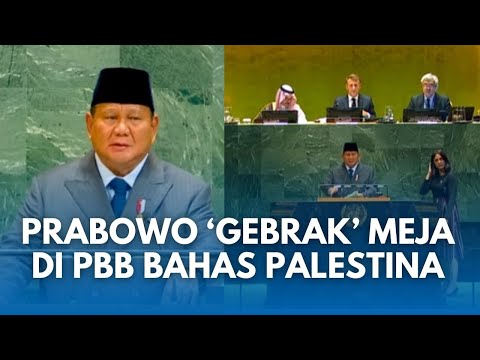 MOMEN EMOSIONAL PRABOWO Gebrak Meja Sidang PBB Serukan Palestina Merdeka di Depan Presiden Perancis