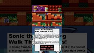 U Can Beat Video Games - Sonic the Hedgehog - Walk Through Walls!