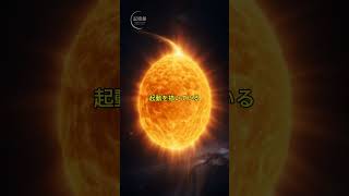 太陽も落ちている…誰も知らない宇宙の“本当の動き #未確認生命体 #animals #特有種