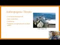 Wetlands and Mangroves: Ecosystem Services