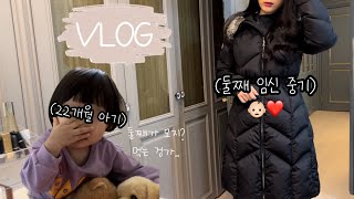 [일상 브이로그] 둘째가 생겼어요! (첫째 반응, 공포의 입덧, 둘째 임신 증상, 임신 중기 영양제)