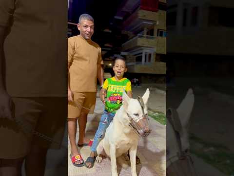 لما تبقا ماشي في الشارع انت واخوك شوفو حصل معانا اي 🤣😱