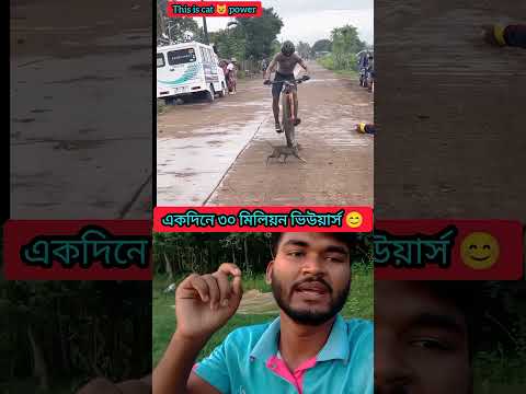 বিড়ালের কারণে 30 মিলিয়ন ভিউ 1 দিনে 😱#sorts #youtube #facts #duet