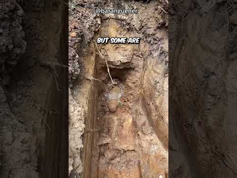 Trenchless Pipe Layer ๏ธ๐๐