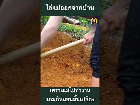 จากการถูกทิ้งสู่การฟื้นฟู