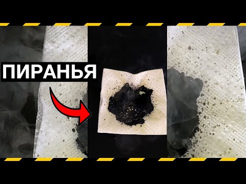 Она тебя сожрет! Химическая пиранья